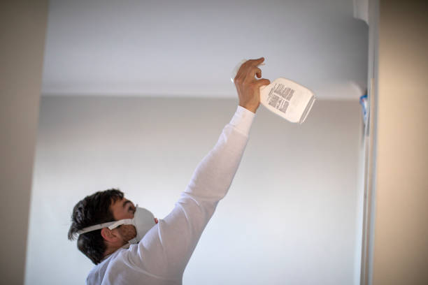 Best Professional Mold Removal  in Advae, NC