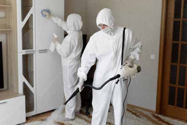 Attic Mold Removal in Advance, NC