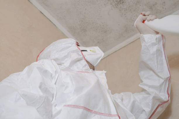 Best Mold Testing  in Advae, NC