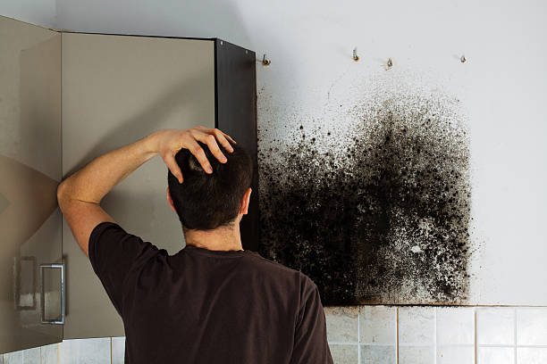 Best Local Mold Removal Service  in Advae, NC